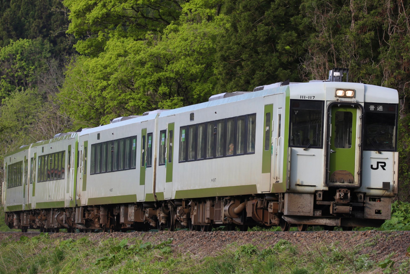日本岩手列車撞到2頭熊!部分班次停駛