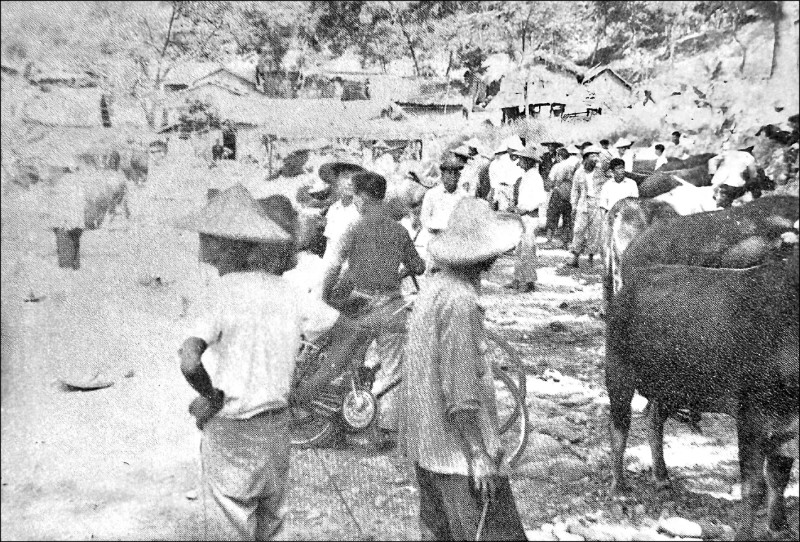 南投首座牛墟遺址公園 最快明年完工