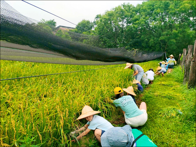 戶外學習環教場所 台大農場農藝分場登人氣王