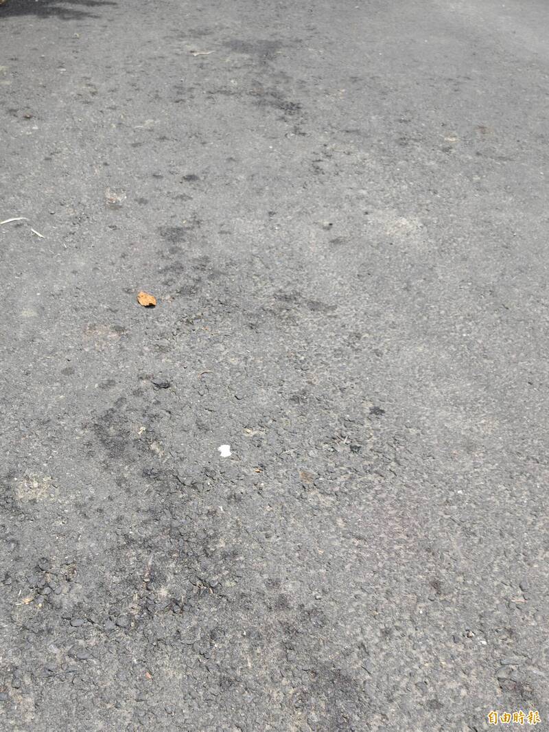 戴姓死者負傷逃離住家，沿途路面上留下血漬。（記者吳俊鋒攝）