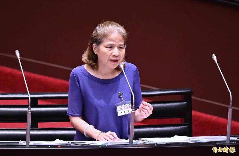 「DPP 100萬」是指「數位產品護照」？林麗瑩：依證據來判斷