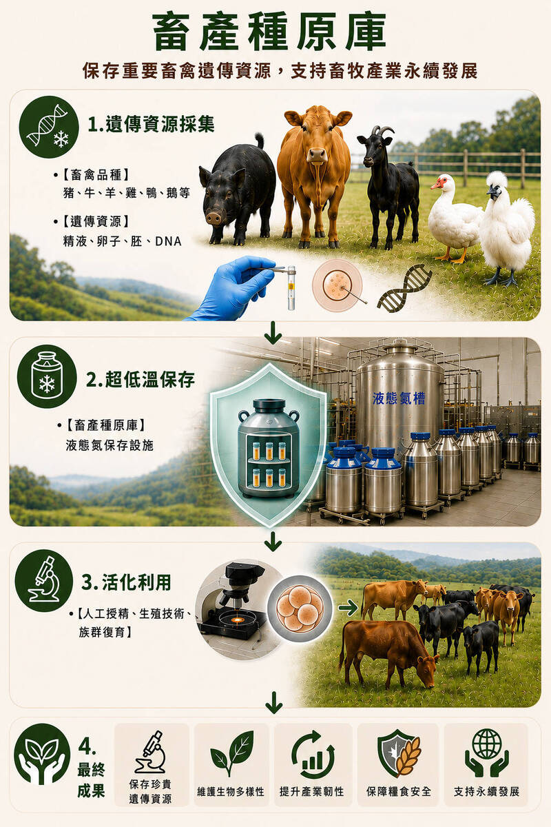 台灣經濟動物的諾亞方舟 畜試所建立國家畜產種原庫