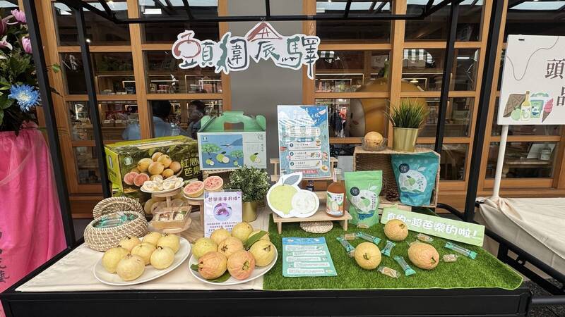 頭城「鹽霧芭樂」入秋上市 農會跨界推食光之旅