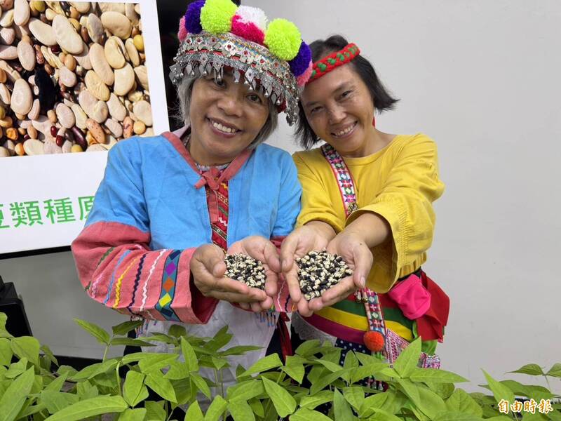 種苗場復育原鄉豆類種子 發芽率從3成衝破9成