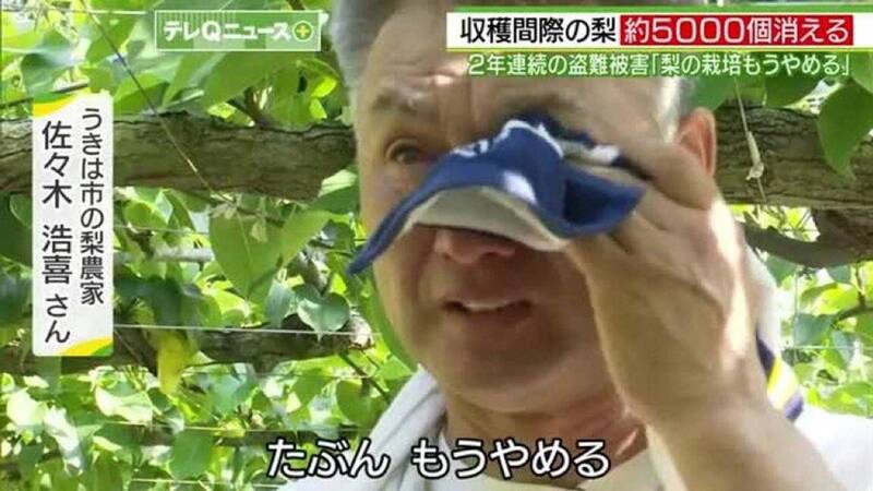 淚讀台灣加油信!日果農走出「萬梨遭竊」陰霾 親送5噸物資馳援熊本