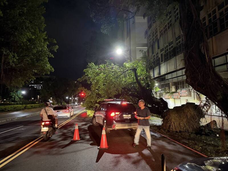 台中2警撿擋路枝葉 路樹突倒塌遭砸中