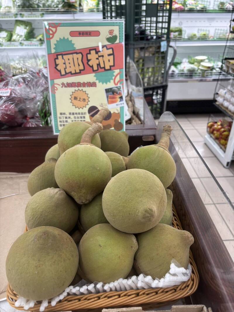 1顆要價500元仍搶手! 屏東九如稀有「椰柿」上市