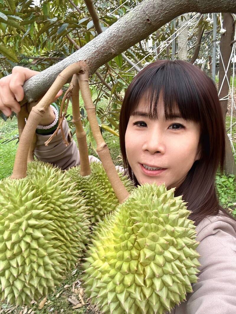 議員問「不種釋迦種何物」?台東縣府坦言:沒有「救世主」
