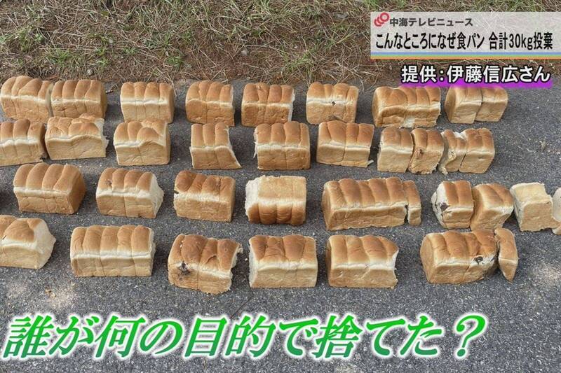 日本國家公園被人狂丟吐司 專家：最重可罰3億日圓