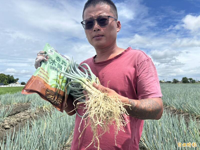 青蔥不怕豪雨颱風 他靠木黴菌1甲地穩賺200萬