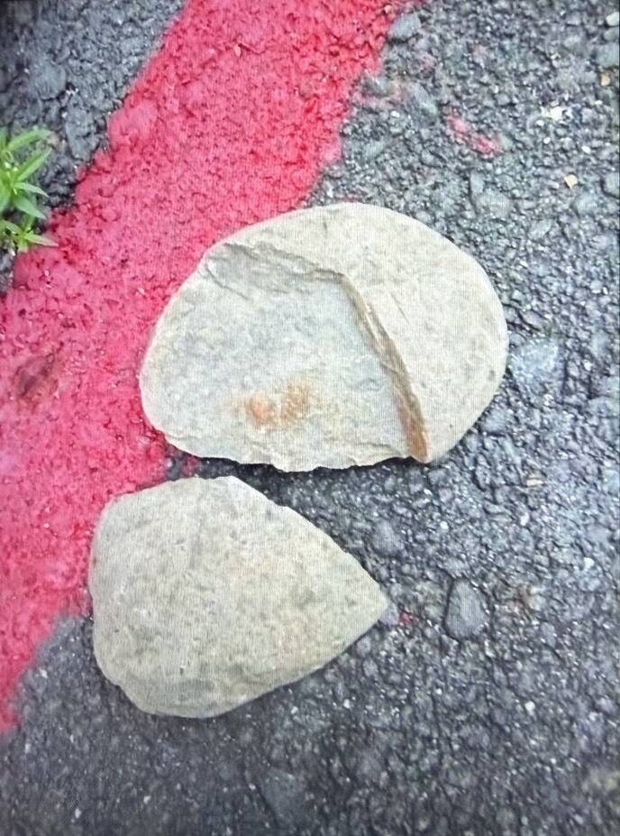 阿北酒後暴走撿石塊狂砸鳳山民宅 看門狗慘中彈