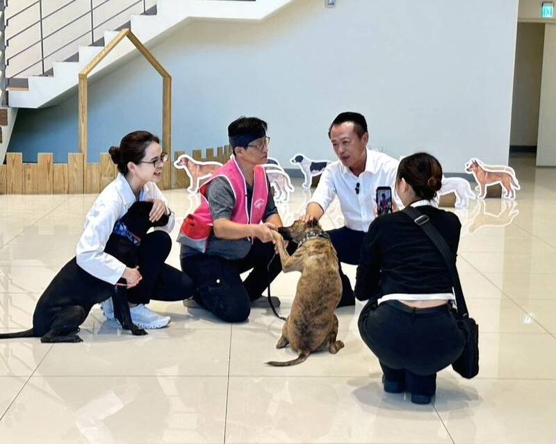 嘉義浪浪變身療癒犬與護衛犬 縣長翁章梁拍片幫忙找工作
