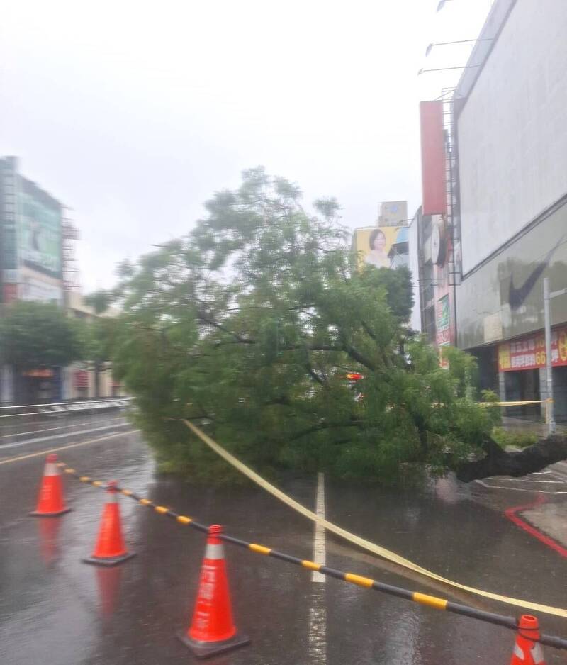 豪大雨狂炸 高雄鬧區傳樹倒幸無人受傷