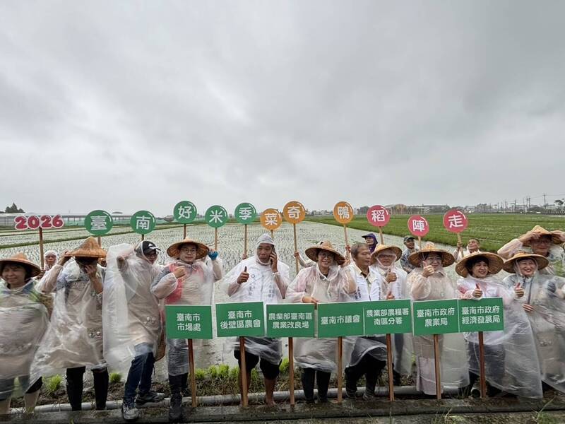 風雨無阻 台南好米季菜奇鴨稻陣走插秧活動「拜田頭」