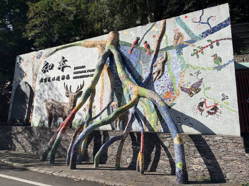 台東森林育樂場域 24日上午8點起封閉