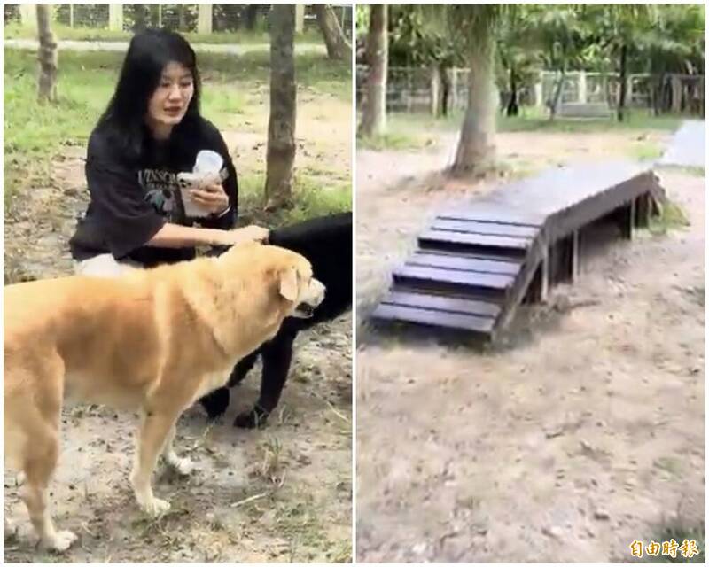桃園中壢青埔公十寵物公園挨批空間窄 大型犬難奔跑