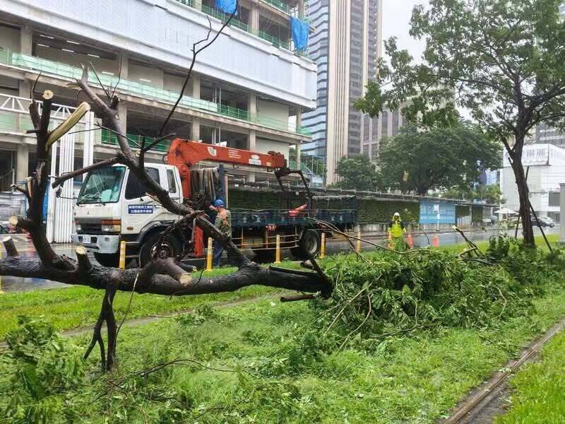 高雄暴雨釀樹木擦撞輕軌 網評：樹木多裝智慧監測
