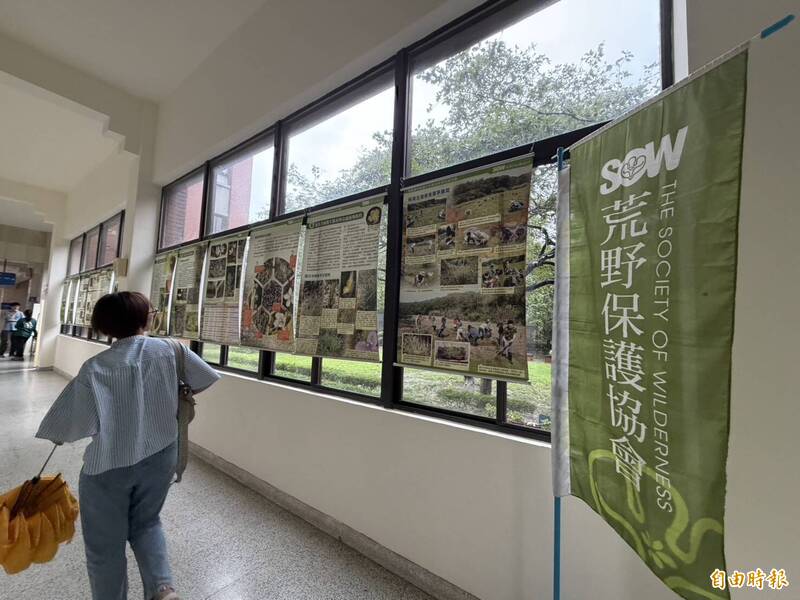 竹北蓮花寺濕地特展竹縣府登場 揭秘珍稀食蟲植物生態