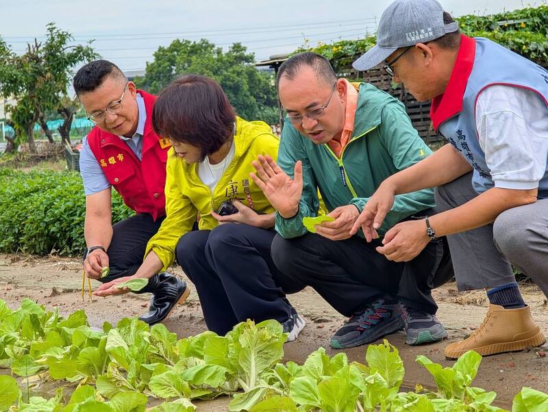 高市議會勘災農損 康裕成：市府應留意菜價波動