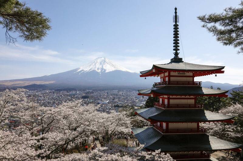 赴日自駕小心! 富士山「1景點」成車禍熱區 居民崩潰:圍牆被撞10次