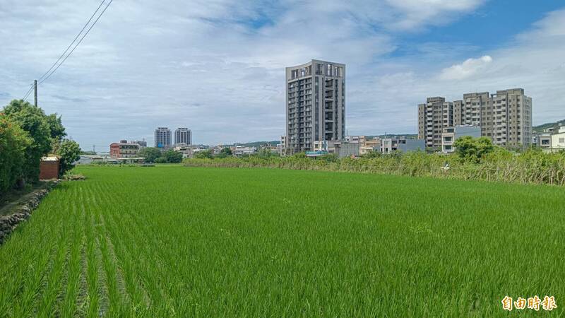 竹縣新埔都計擴大引熱議 民憂33公頃良田將消失、排水與交通恐惡化