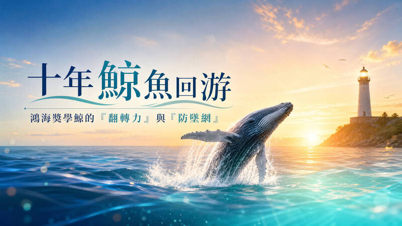 鴻海獎學鯨10年助500弱勢生 近3成曾因經濟壓力想休學