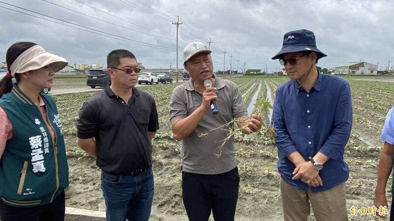 雲林農損949公頃!水林鄉地瓜災情浮現 劉建國、張嘉郡勘災