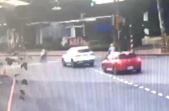 母紅燈帶子走斑馬線+落單童突竄出 賓士車險煞不住撞上