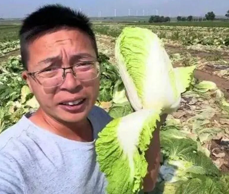 中國近日爆出不肖業者為了保鮮防腐，竟將大白菜根部浸泡或塗抹甲醛溶液（俗稱福馬林），在社群曝光相關畫面的吹哨者、知名環保網紅「漁獵齊哥」昨日坦言，雖然擔心被報復，但總得有人站出來。（圖擷自藍鯨新聞）