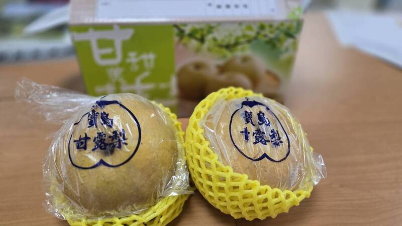 苗栗甘露梨進軍新加坡搶中秋檔期 不走低價戰攻精緻市場