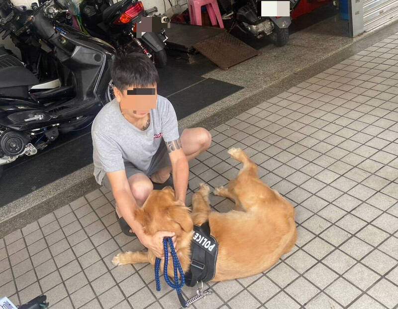 桃園機車行遭控虐打黃金獵犬 業者喊冤:1年前小孩子不懂事