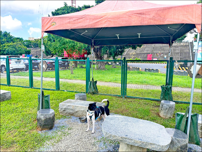北市狗公園遮蔭不足 陳怡潔籲「熱安全」總體檢