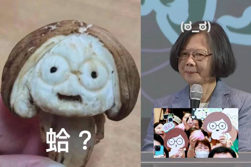 誕生不到滿月!總統級網路迷因「香菇小英」人氣飆破2400萬
