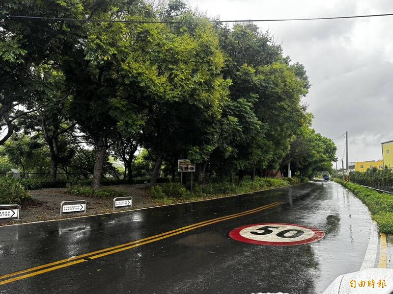 9月還綠油油!彰化東螺溪欒樹花開不到1成 主辦單位急了