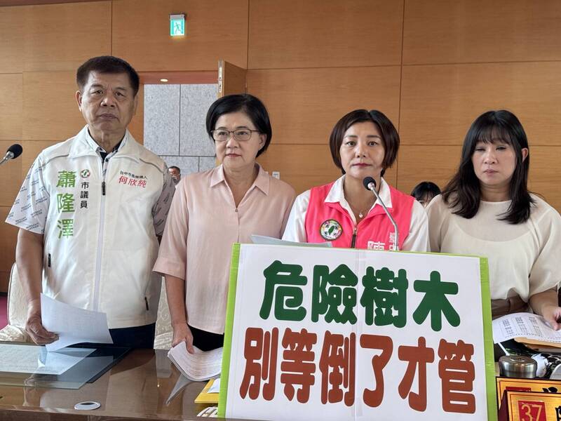 台中樹倒頻傳 綠營議員要求普查健檢路樹