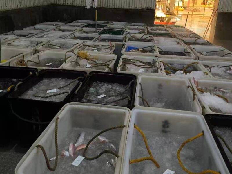 台中魚市場9月起限賣魚貨 澎湖區漁會奔走中部尋求解套