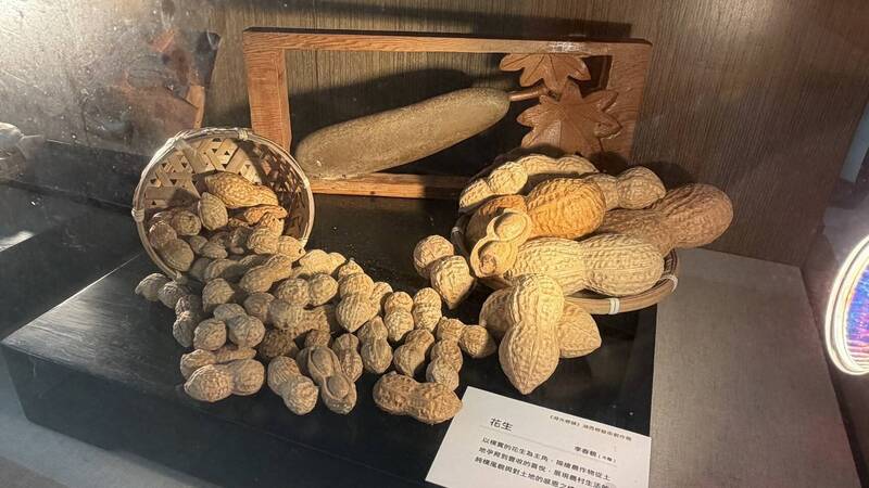 湖光鄉韻映風土 湖西藝術創作展登場