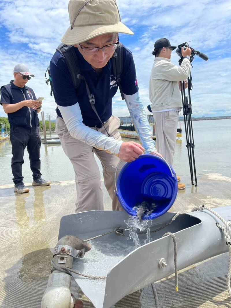 中市農業局魚苗放流 離岸風電業者共襄盛舉