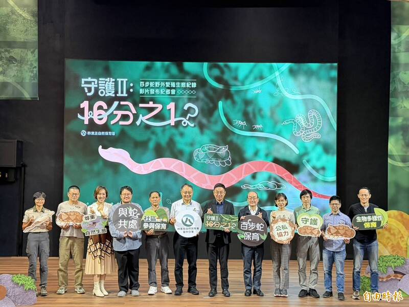《守護II:16分之1?》林保署再度完整影像記錄野外百步蛇護卵過程
