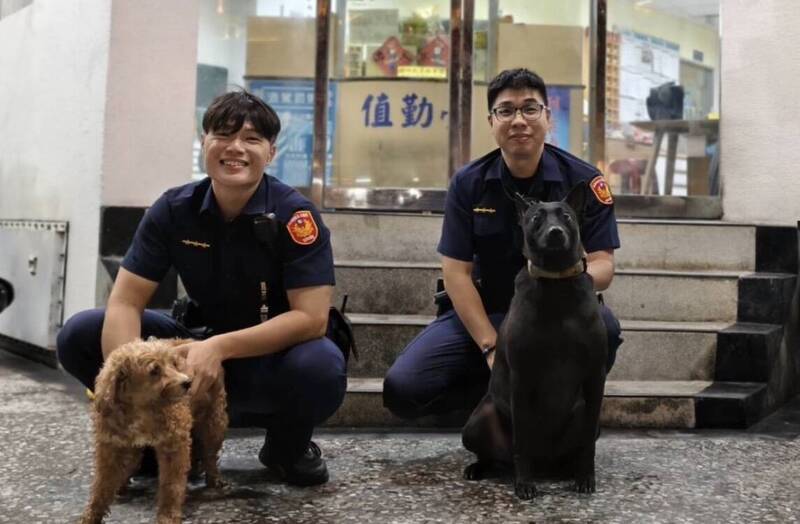 紅貴賓大雨中走失 警犬「黑醬」衝出派出所神救援