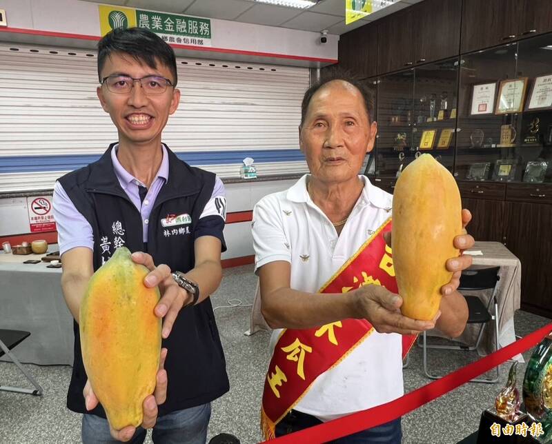 76歲瓜農廖榮煌奪「木瓜王」 揭40年功夫祕訣