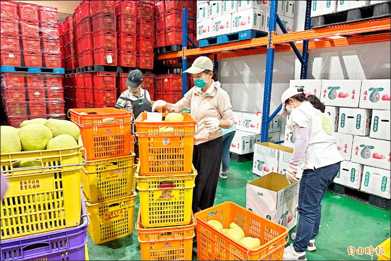 麻豆文旦外銷加拿大、新加坡 搶進連鎖超市