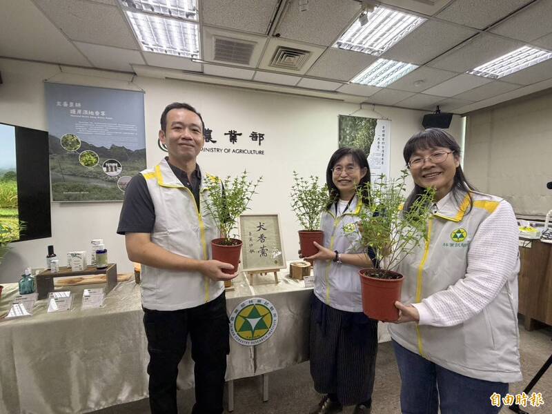 林試所團隊分析助攻 「痱子草」含高級香水原料取名「犬香薷」