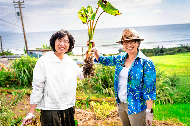 蘇巧慧邀蕭美琴遊金山