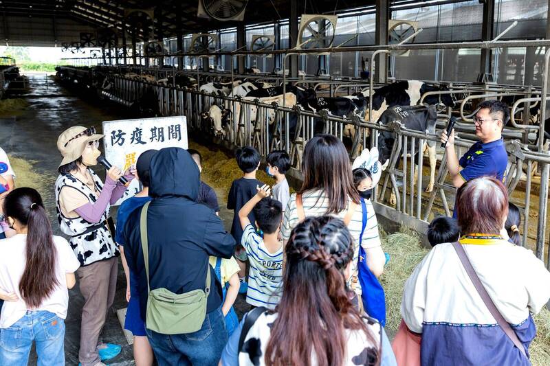 乳牛也有智慧手表! 高雄食農體驗揭秘「鮮乳科技」