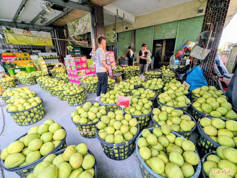 雨害水傷!南投文旦減產逾3成 果農「凍漲」拚買氣