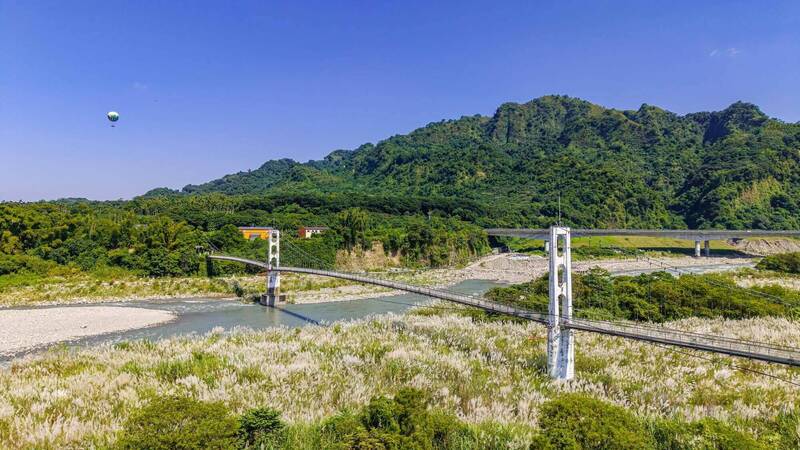 草屯雙十吊橋「九月雪」大爆發 同框「收服」氦氣球超驚豔