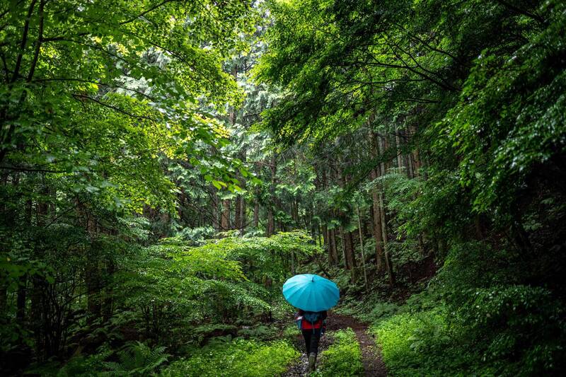 日本長野縣 外國登山客夏季山難人數創新高