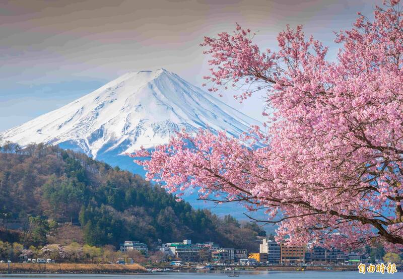 富士山觀光熱!山梨上半年住宿達423萬人次 創歷史新高