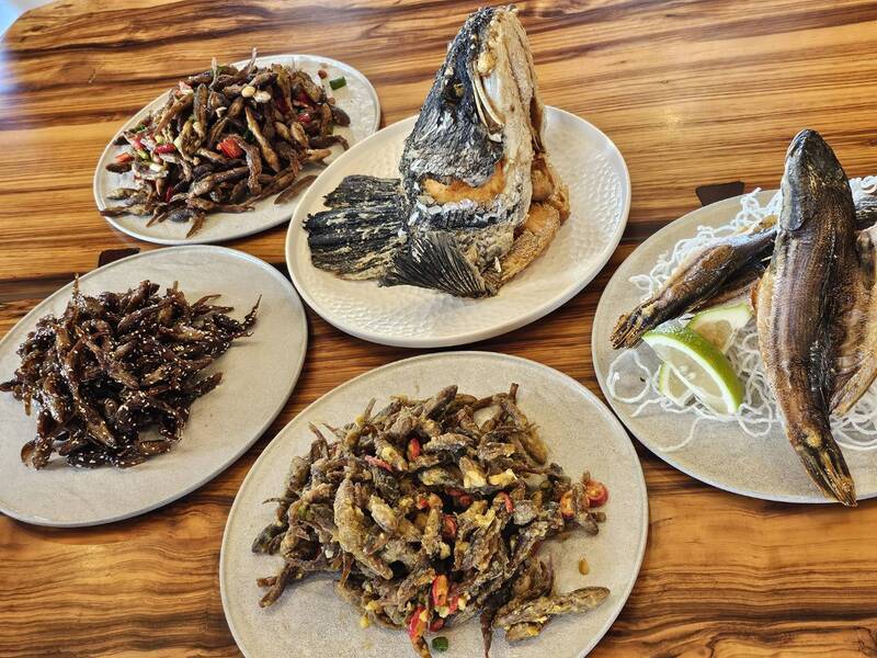 魚虎移除激增40倍!日月潭飯店收購做「好料」 經濟保育雙贏